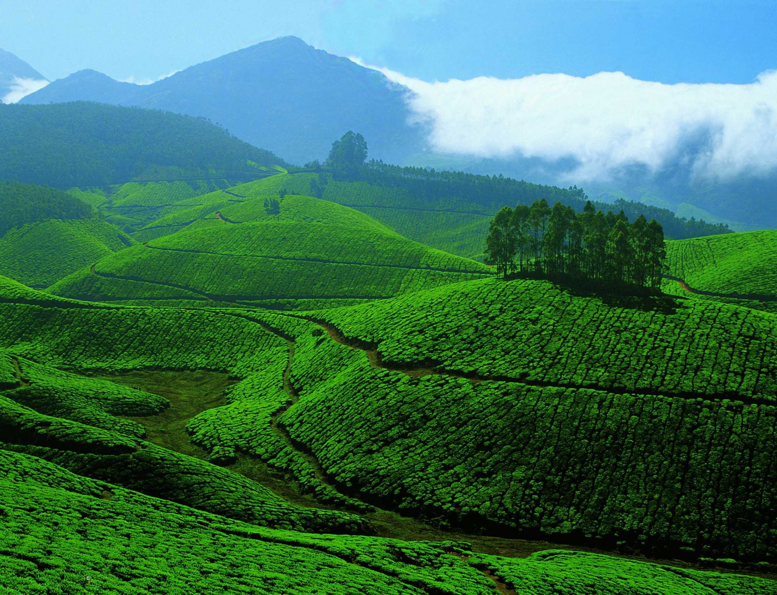kerala tourist places hill stations