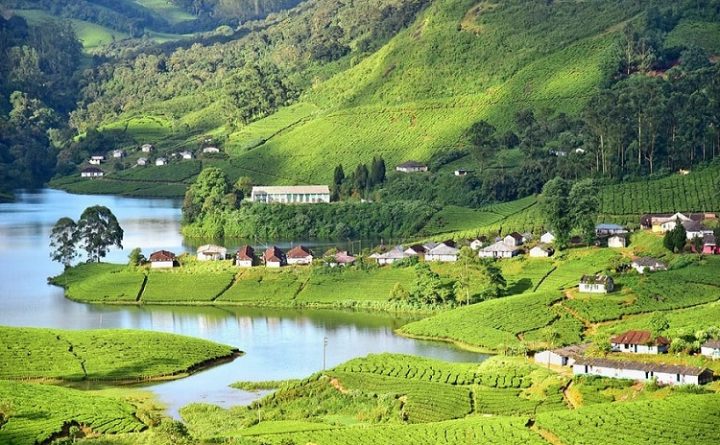 munnar-kerala