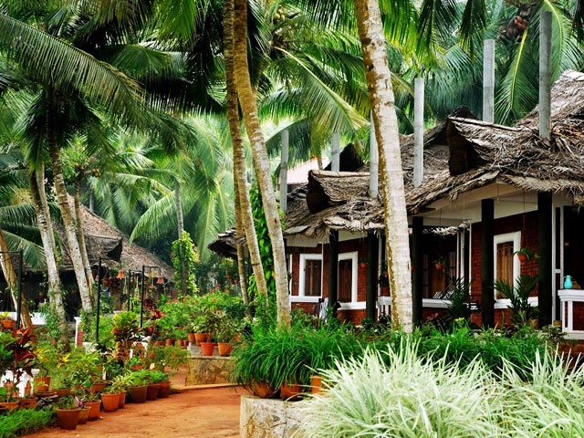 Top 5 Ayurvedic Resorts in Kerala | Best Ayurveda Treatment in Kerala