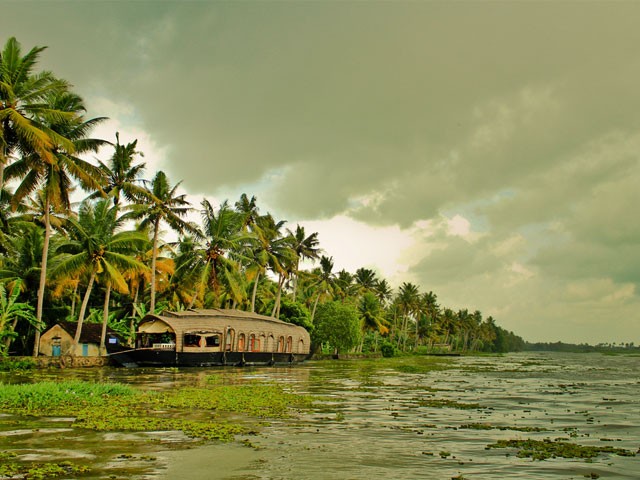 5 Reasons to Visit Kerala During the Monsoon