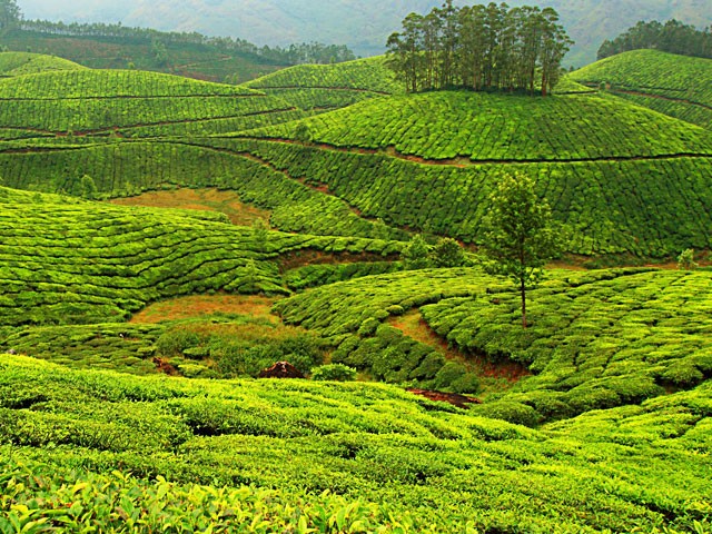 10 Best Places to Visit in Kerala in Summer