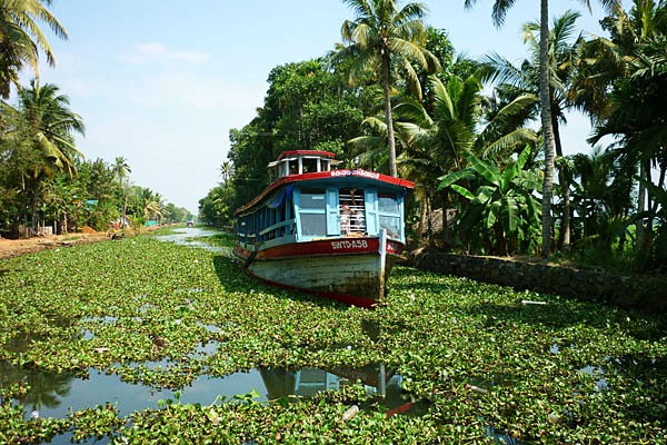 Kottayam Backwaters: backwaters destinations in kerala