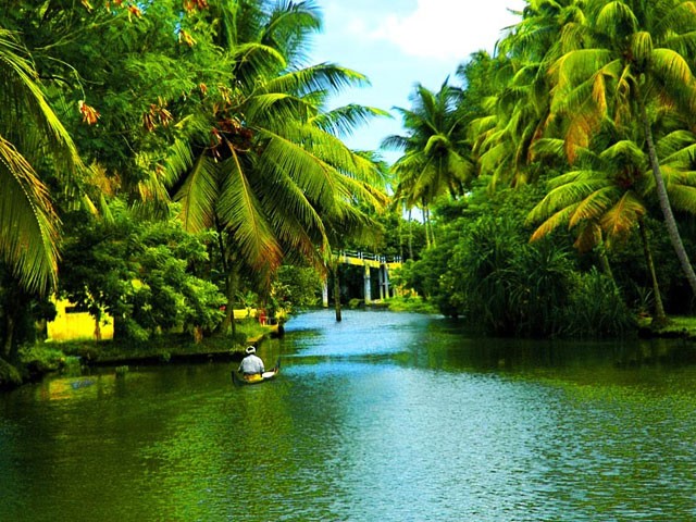 Backwaters-in-Kerala: kerala travel guide