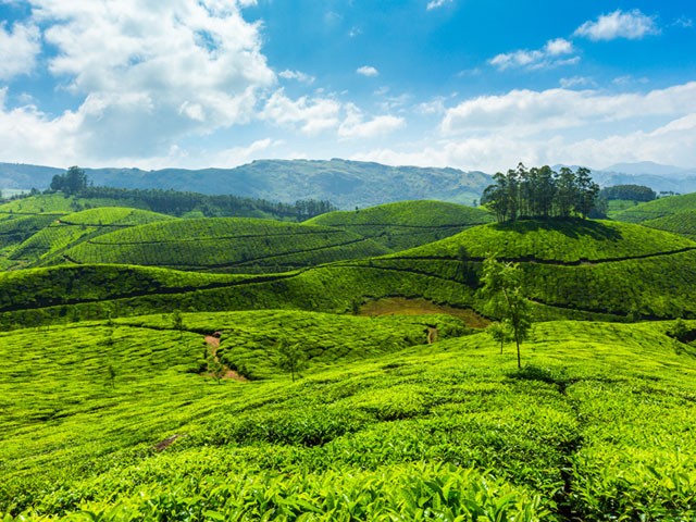 Hill-Stations-in-Kerala: kerala travel guide