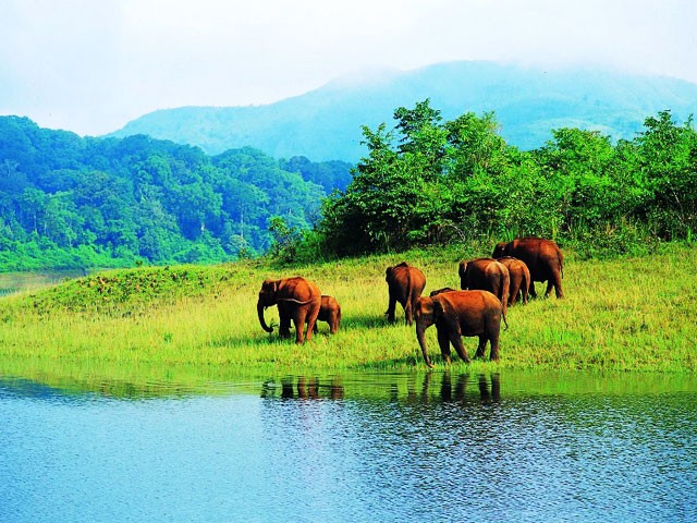 Periyar-Wildlife-Sanctuary