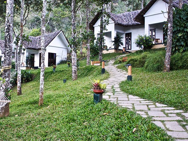 niraamaya-retreats-cardamom-club-thekkady