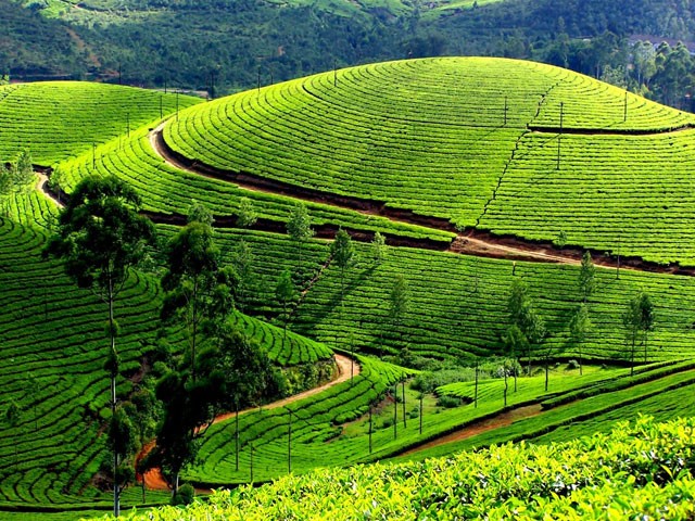 Lesser-Known Stories of How 14 Kerala Towns Got Their Unique Names