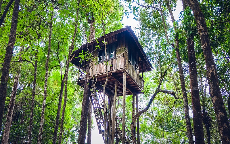 kollam-treehouse