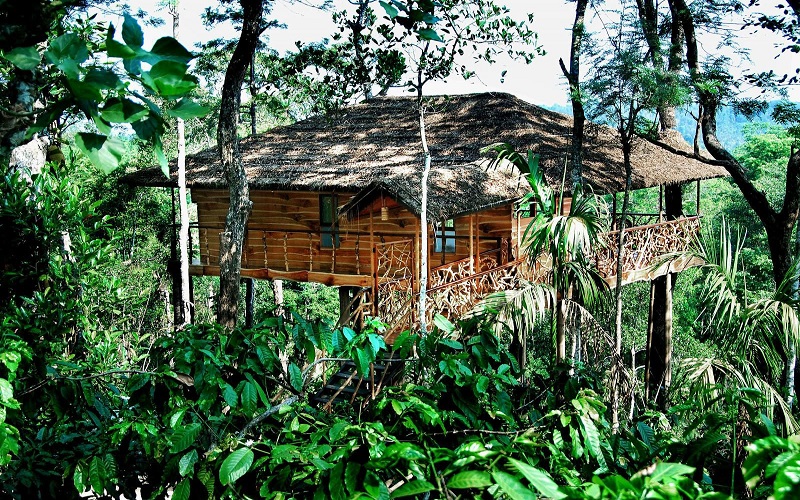 wayanad-treehouse