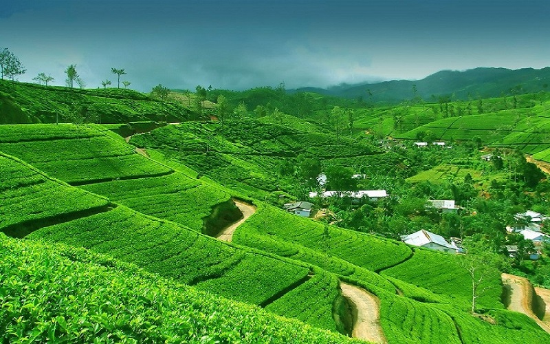 munnar-kerala