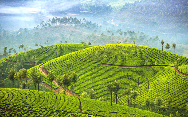 10 Best Places To Visit In Kerala In December