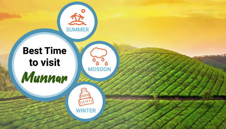 best-time-to-visit-munnar