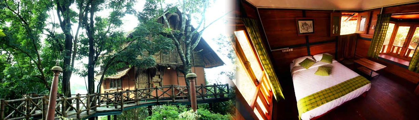 Best Tree House Resort in Wayanad, Keala | View Photos, Address