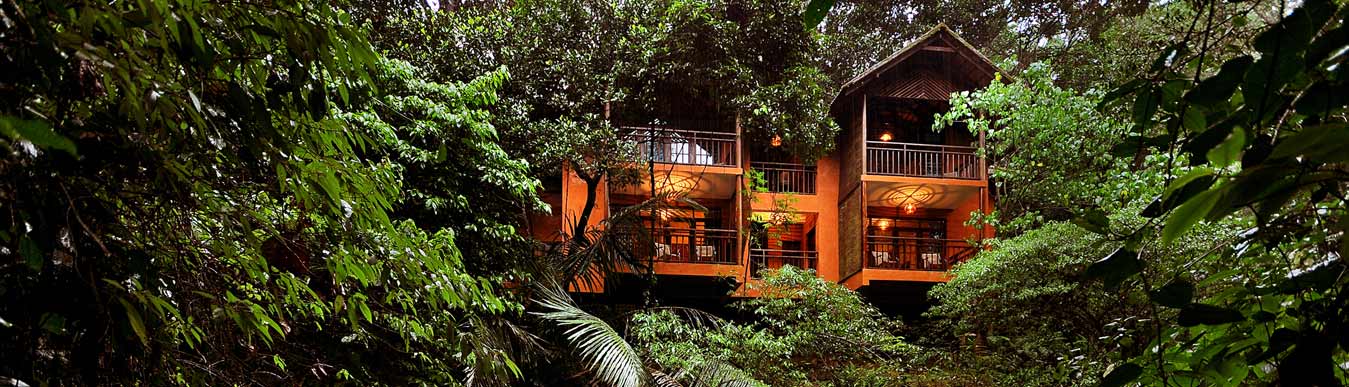 wayanad tour vythiri treehouse