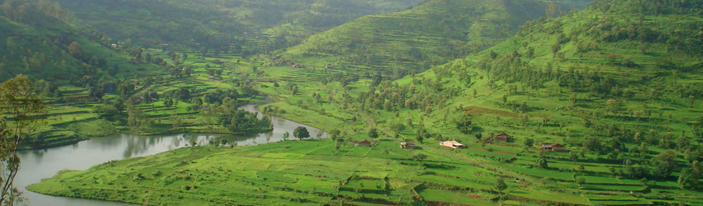 Monsoon Tourism