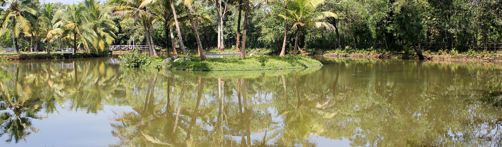 Backwaters